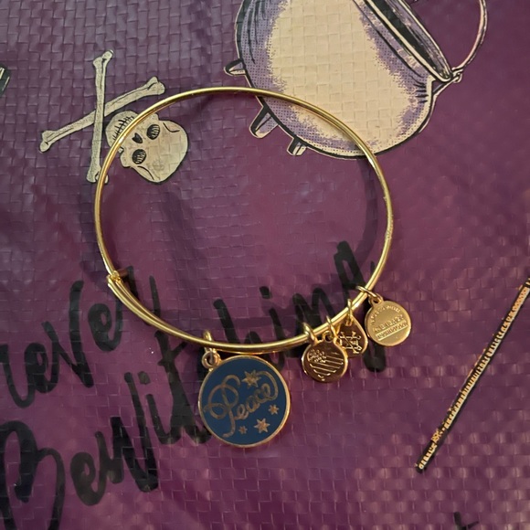 Bundle of 6 Alex&Ani bracelets - Picture 6 of 6